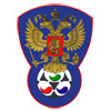 Всероссийская федерация футбола лиц с заболеванием церебральным параличом